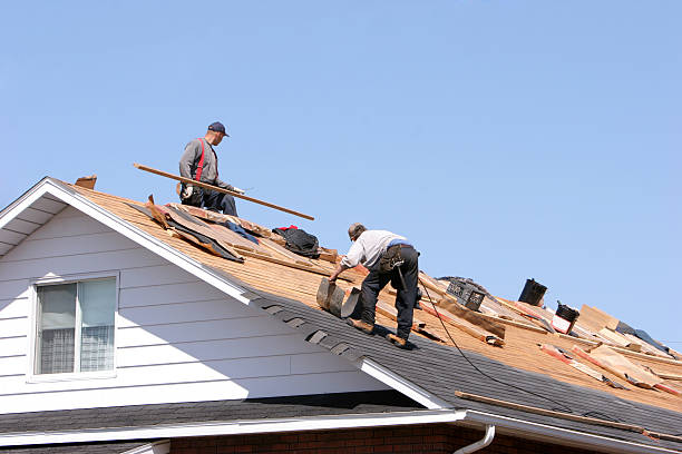 Best Roof Ventilation Installation  in East Camden, AR